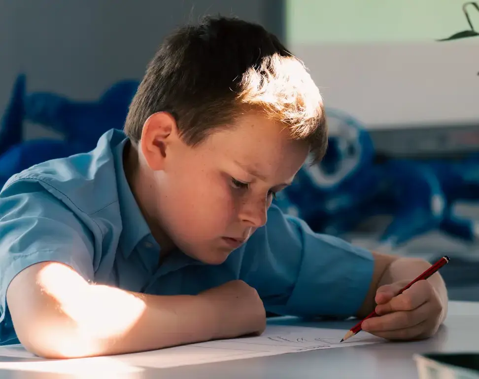 Boy working in class