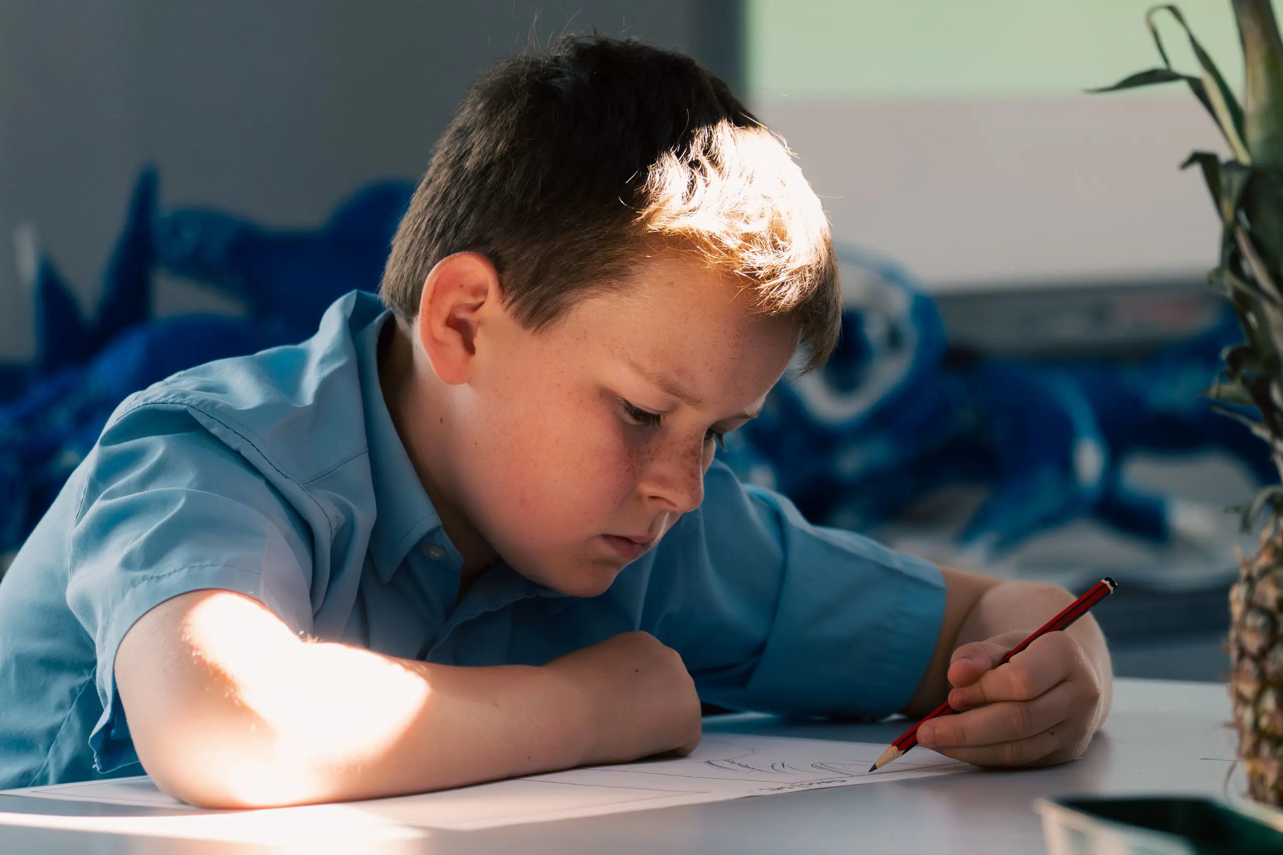 Young boy focused on homework